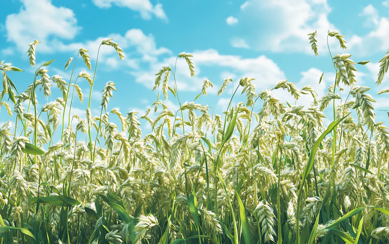 The Ultimate Guide to Organic Fertilizers : Unleash Incredible Harvests