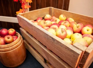 Apple Storage Methods