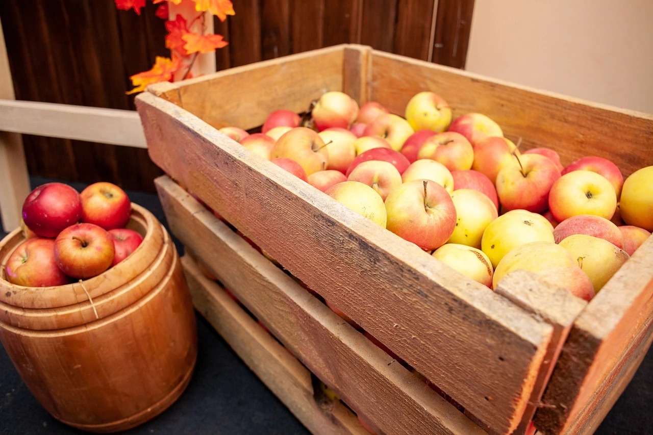 Apple Storage Methods