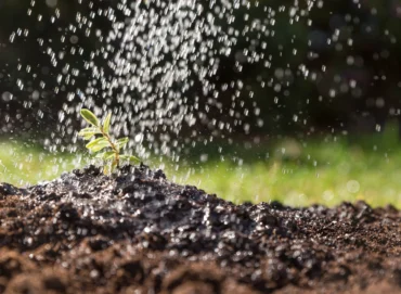 Guide to Potassium Fertilizer