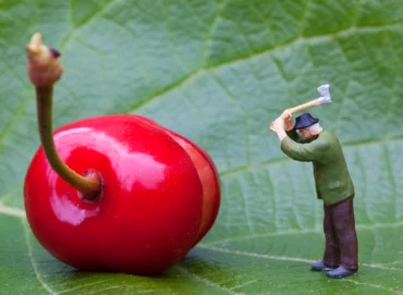 Magnesium in Apple Tree Nutrition
