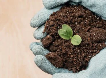 Organic vs. Synthetic Fertilizers