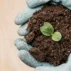 Organic vs. Synthetic Fertilizers