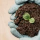 Organic vs. Synthetic Fertilizers