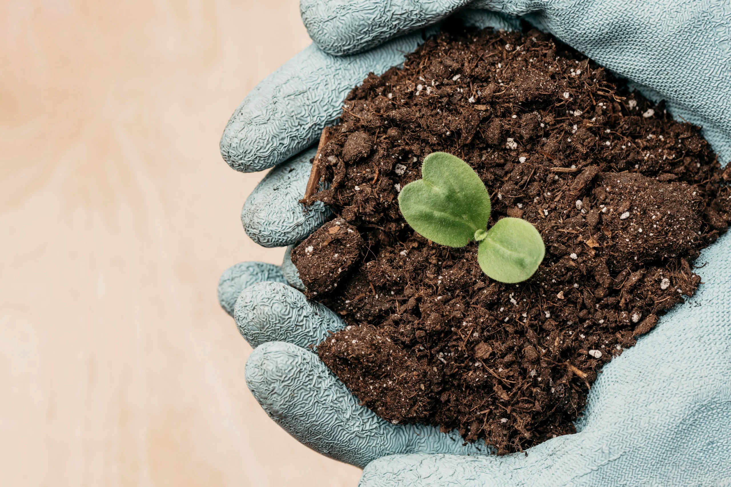 Organic vs. Synthetic Fertilizers