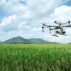 AI in Farming