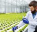 man-takes-probe-greenery-erlenmeyer-flask-standing-greenhouse